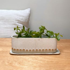 May include: A rectangular, off-white ceramic planter with a scalloped design along the bottom edge, filled with green plants. The planter sits on a matching rectangular tray. The background includes a white pillow and a wooden surface.