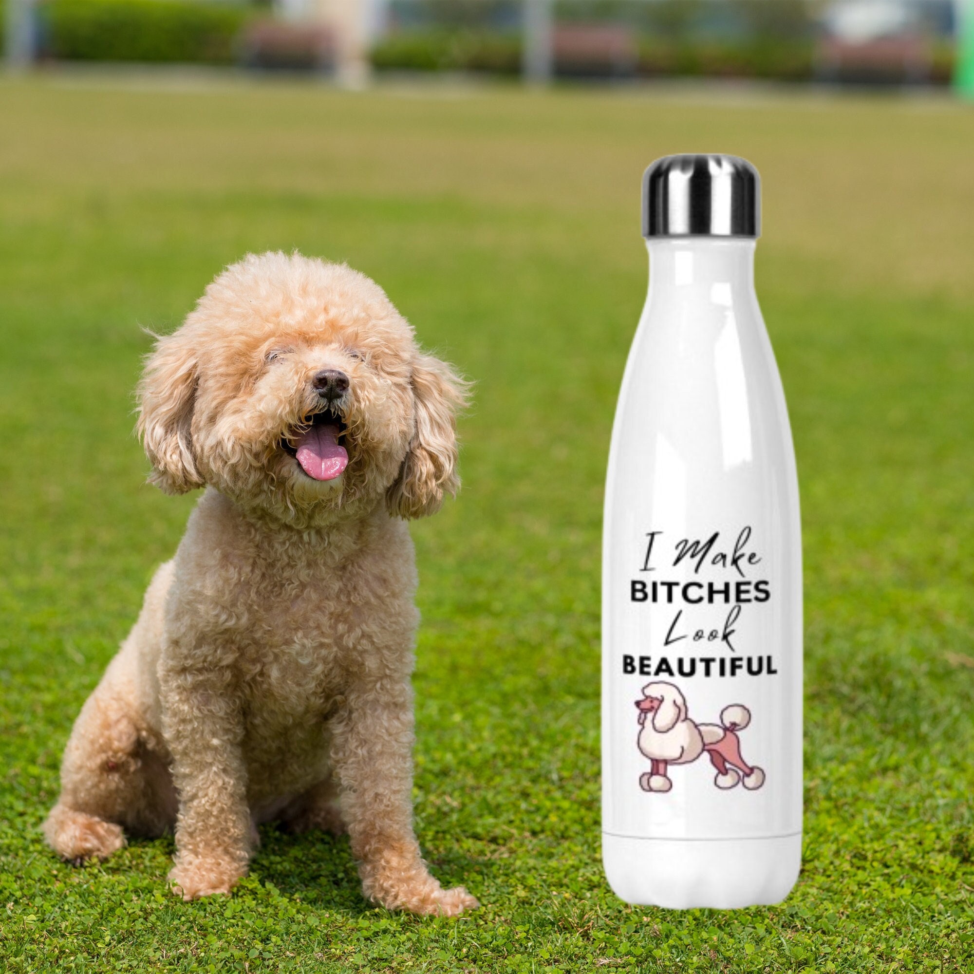 Funny Dog Groomer Gift, Water Bottle, I Make Bitches Beautiful, Dog Grooming Salon Gift, Thank You Present For Dog Groomer, Dog Grooming,