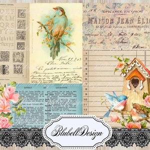 papiers numériques" Pretty Bird" scrapbooking junk journal kit téléchargement numérique imprimable papier digital