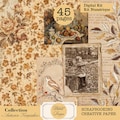 vintage digital creative paper 