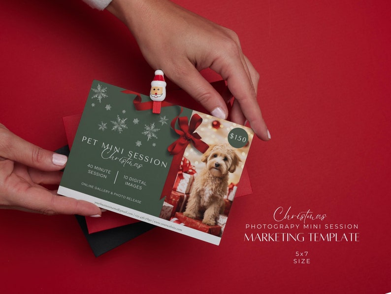 Pet Mini Session Marketing Template, Animal Photography Packages ...
