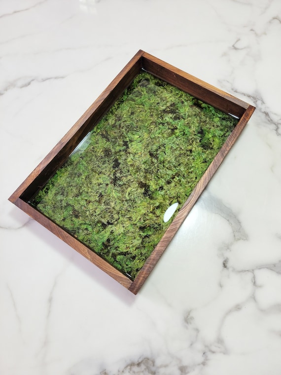Preserved Green Moss Pcs Dried Plants Pressed Moss Green Resin Moss Real Dried  Moss Craft Making Plants Natural Moss for Resin Jewelry -  Israel