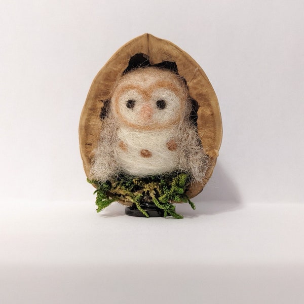 Handmade felted owl in walnut shell - gift, craft, bird, animal, wildlife, cute, nature