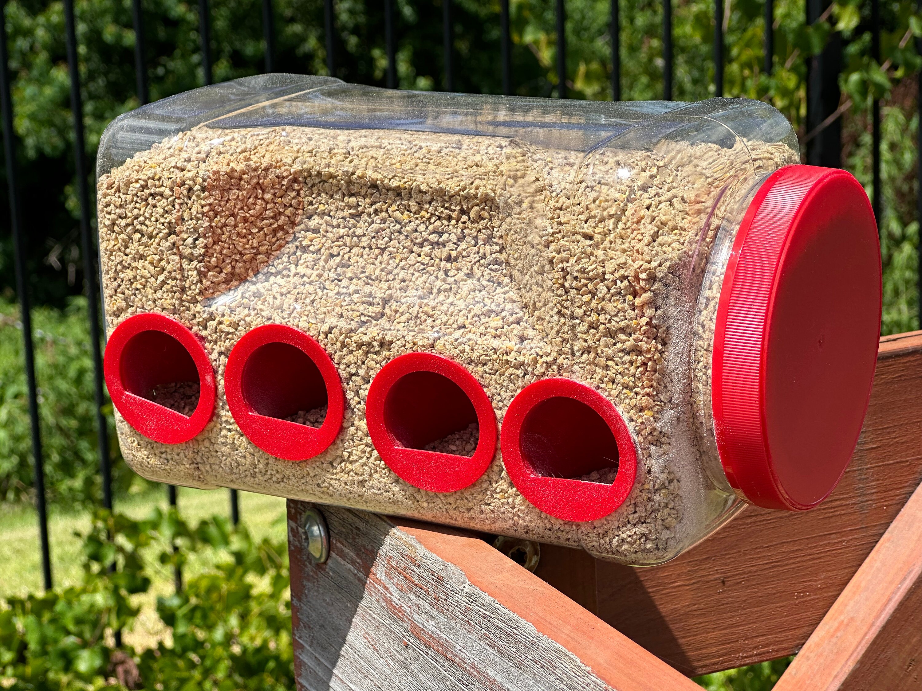 1 Gallon Quail Feed Saver Square Container Chick Feed Saver Etsy