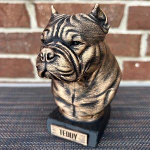 American Bully Bust  - Hand-Painted, Customizable, 3D Printed