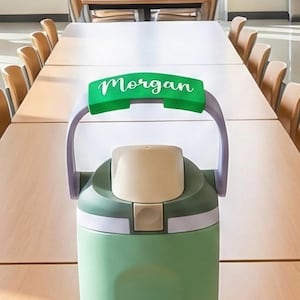 Op de afbeelding: Een groene en witte ge&iuml;soleerde waterfles met een paarse handgreep en een beige bovenkant. De naam "Morgan" is in witte letters gedrukt op een groene band over de handgreep. De fles bevat ongeveer 700 ml.