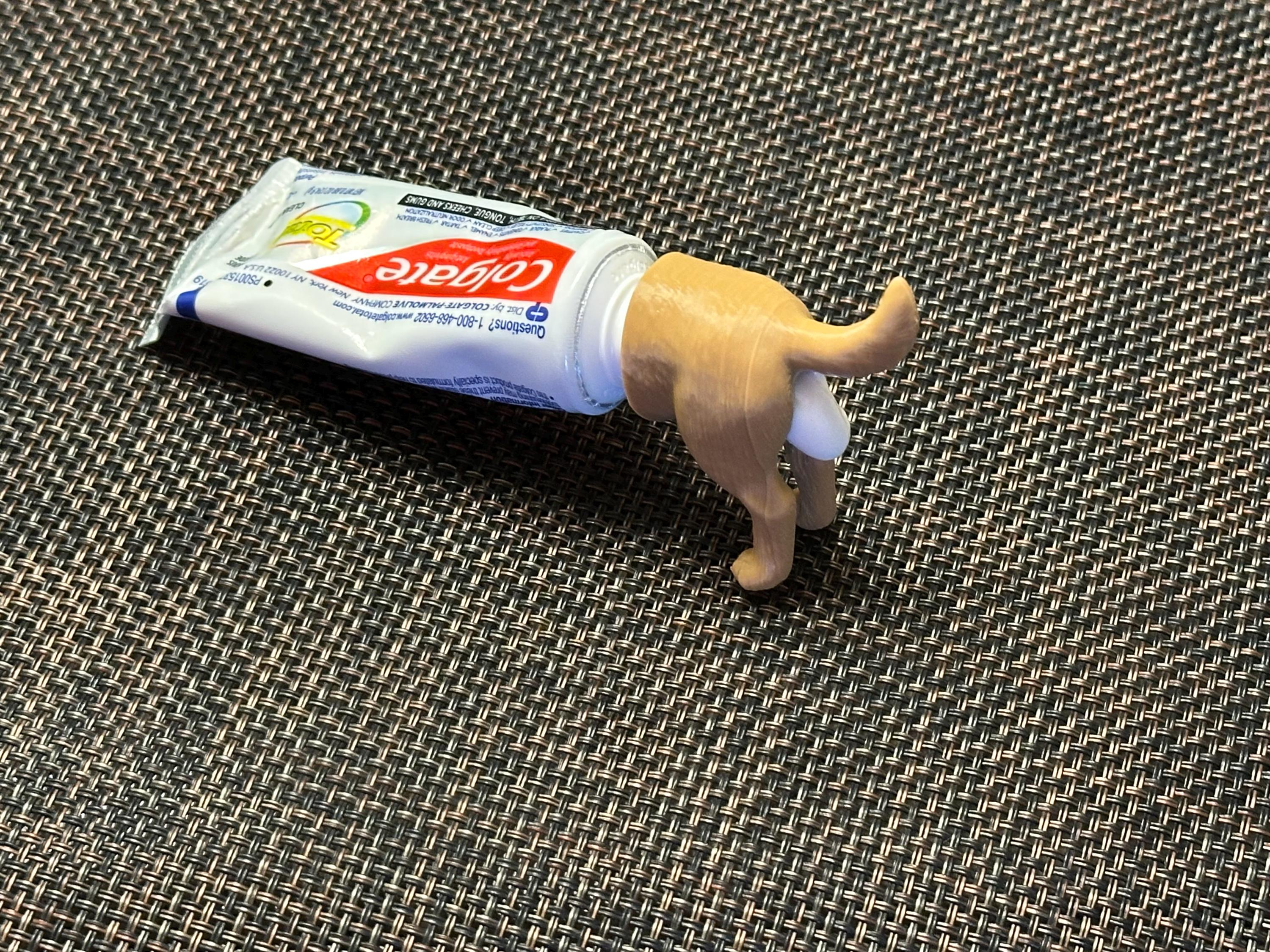 Dog Butt Toothpaste Pooper Top, Quirky Gag Gift for Dog Lovers - Etsy