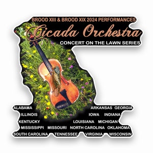 Cicada Orchestra Konzert Laminierter Aufkleber | Zikaden 2024 | Brut XIII | Brut XIX | Retro | Mit Liebe auf Bestellung gefertigt