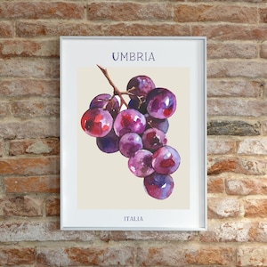 Umbria Grapes Italian Digital Poster Print Bundle: Digital Download
