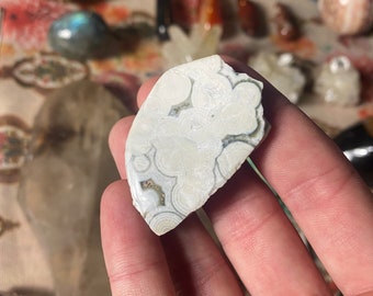 Half Polished Ocean Jasper