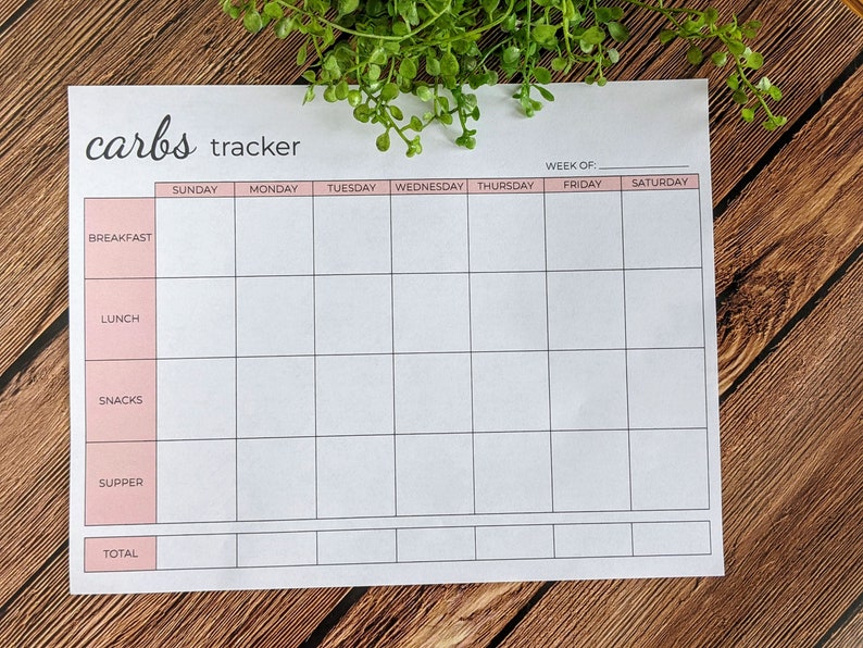 Food Journal Printable Daily Food Log Carb Tracker Low Carb Keto Meal ...