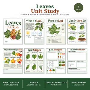 Op de afbeelding: Een achtdelige bladeren-leseenheid als printbaar PDF-bestand. De educatieve pagina's bevatten botanische illustraties van bladeren, diagrammen van bladonderdelen en activiteiten over bladvormen, kleuren en observatie.