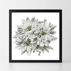 Chrysanthemum Flower Print, Floral Wall Art, Simple Wall Art, Wall Decor, Best Selling Wallart, Best Selling Digital Download