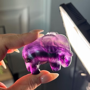 Hand Carved Fluorite Elephant | Animal Crystal Carvings | Fluorite Elephant Sculpture | Crystal Gifts | Elephant Carvings | Mica