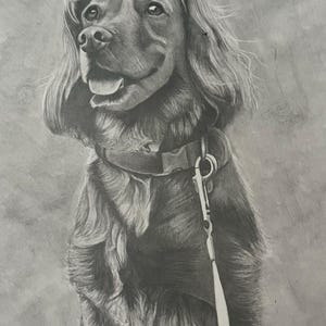 Pet Portraits from Photo - Handrawn, Graphite Pencil, Dog, Cat, Horse