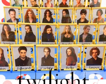 Twilight Guess Who Compatible Physical Cards!  (#1191)