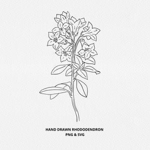 Rhododendron SVG, Single Stem Rhododendron Flower, Digi Stamp, Vintage Botanical Line, Wedding Invite, sublimation, Logo Design, Engraving