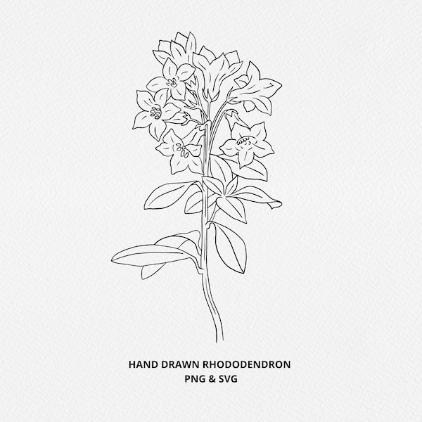 Rhododendron SVG, Single Stem Rhododendron Flower, Digi Stamp, Vintage Botanical Line, Wedding Invite, sublimation, Logo Design, Engraving