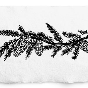 Bordo ramo di pino SVG, incisione laser, Glowforge, Cricut, pigna SVG e PNG, rami di pigna, elementi invernali botanici disegnati a mano,