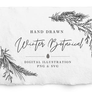 May include: A white rectangular card with deckled edges featuring black line art of pine branches and berries. The text reads: HAND DRAWN Winter Botanical, DIGITAL ILLUSTRATION, PNG & SVG, with a small pinecone icon centered below the title.
