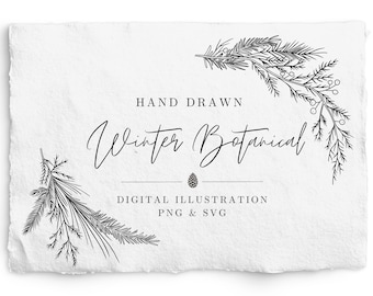 May include: A white rectangular card with deckled edges featuring black line art of pine branches and berries. The text reads: HAND DRAWN Winter Botanical, DIGITAL ILLUSTRATION, PNG & SVG, with a small pinecone icon centered below the title.