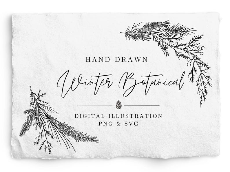 May include: A white rectangular card with deckled edges featuring black line art of pine branches and berries. The text reads: HAND DRAWN Winter Botanical, DIGITAL ILLUSTRATION, PNG & SVG, with a small pinecone icon centered below the title.