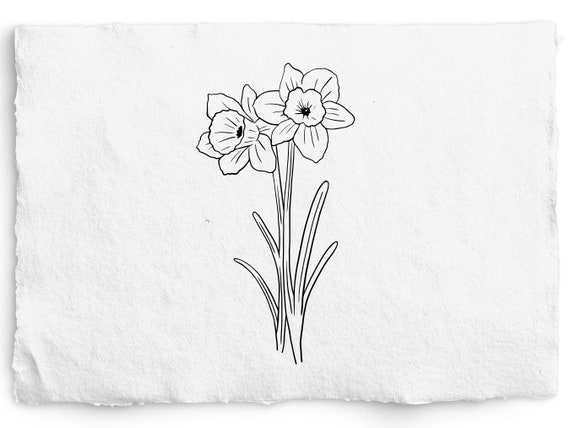 Holly SVG Narcissus Flower SVG December Birth Month Flowers  Etsy Singapore
