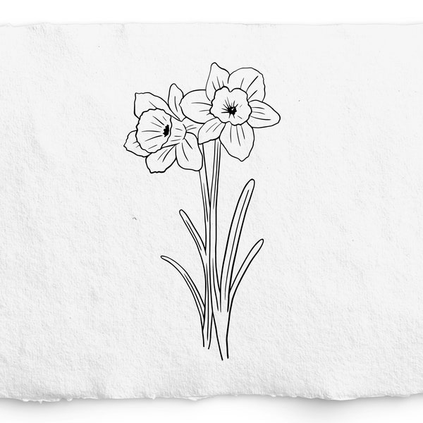 Décembre Mois de naissance Fleur SVG - Fleur d’anniversaire PNG, Graphique de fleurs de narcisse dessinées à la main, Botanique dessinée à la main, Timbre Digi, Tatouage