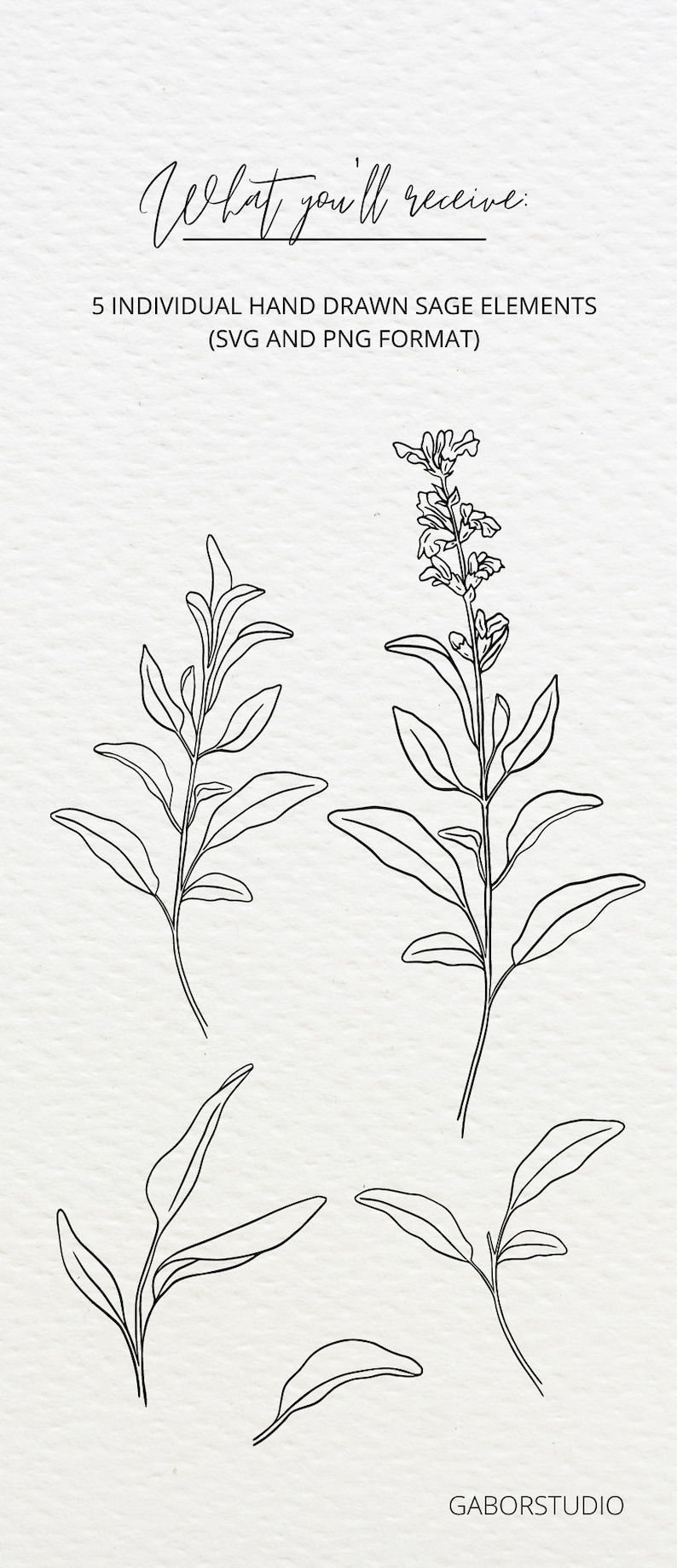 Sage Leaf Elements SVG and PNG Botanical Hand Drawn Etsy