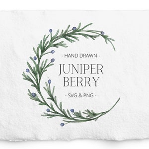 Clipart aquarelle couronne de baies de genièvre, cadre de Noël peint à la main, aquarelle de Noël, papeterie, publicité gratuite, PNG, minimaliste