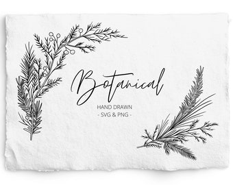 Winter Botanical Corners SVG and PNG, Pine Corner Digi Stamp, Pine Christmas Frame, Cricut, Glowforge, Commercial Free, Clip art