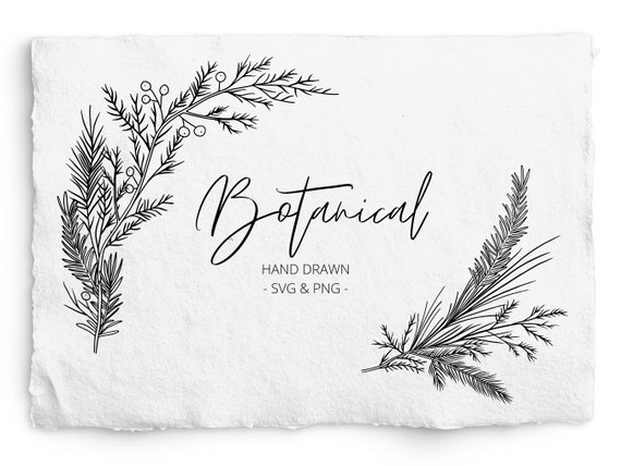 Winter Botanical Corners SVG and PNG, Pine Corner Digi Stamp, Pine Christmas Frame, Cricut, Glowforge, Commercial Free, Clip art