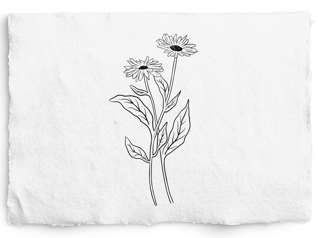 october-birth-month-flower-svg-birthday-flower-png-hand-drawn