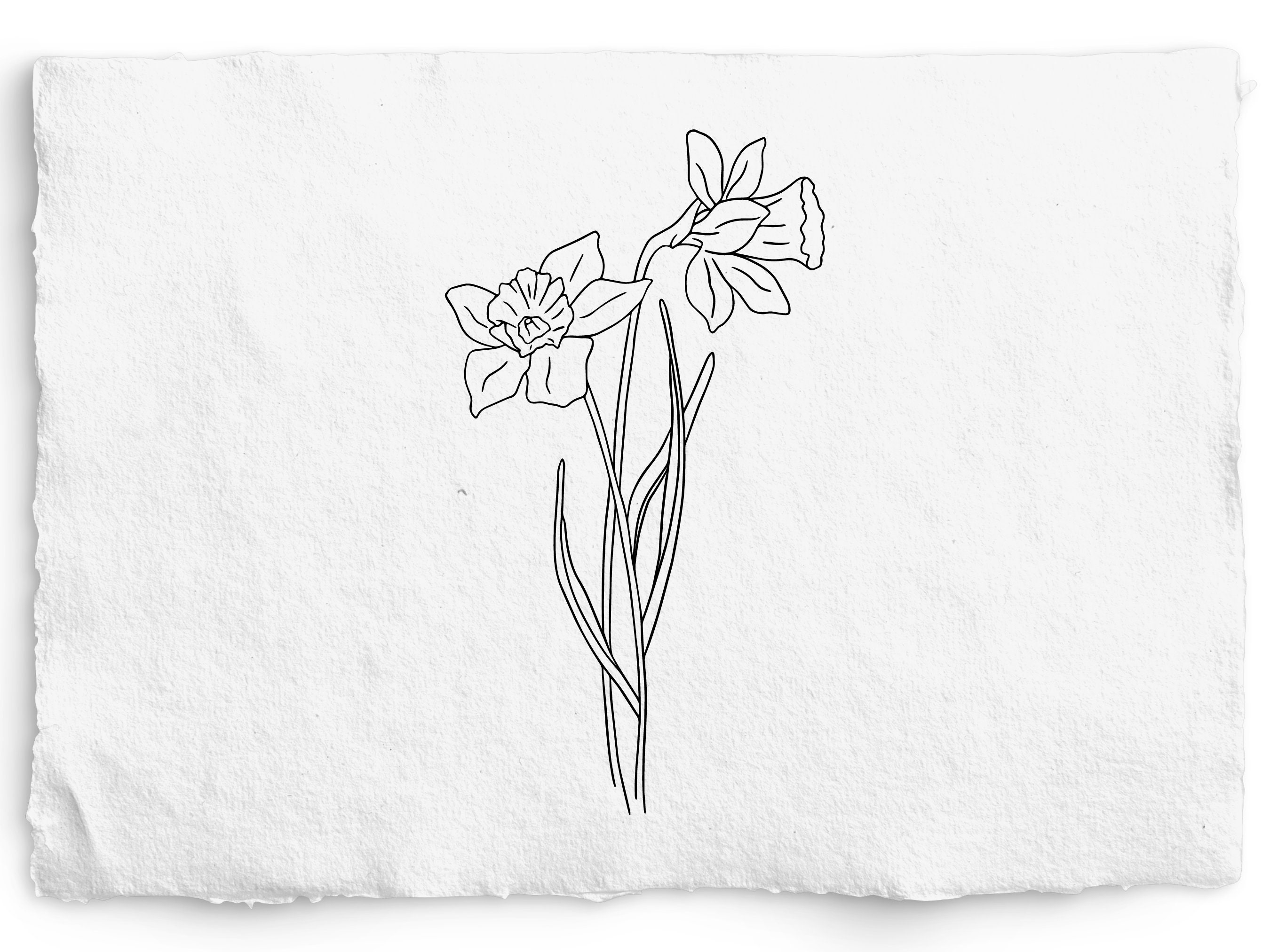 March Birth Month Flower SVG Birthday Flower PNG Hand Drawn Etsy