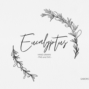 Könnte beinhalten: Schwarz-weiß-Zeichnung von Eukalyptusblättern, die einen Kranz bilden, mit dem Wort "Eucalyptus" in Kursivschrift in der Mitte. Der Text "Hand Drawn - PNG and SVG -" befindet sich unter dem Wort "Eucalyptus".