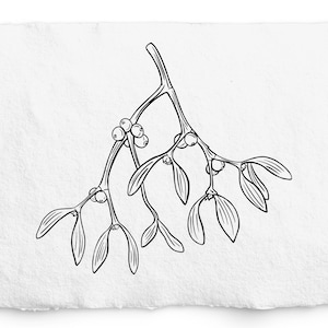 Maretak SVG, hand getekende botanische afbeelding, kersttekening, lasergravure, Glowforge, Cricut Draw, Digi Stamp, Sticker, Tattoo