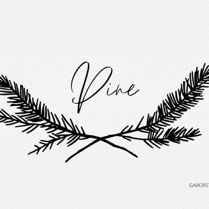 Monogramma di pino SVG, Grafica per matrimoni nella foresta, Botanico per le vacanze, Cornice della foresta disegnata a mano PNG, Cancelleria, Creazione di cartoline di Natale, Timbro Digi