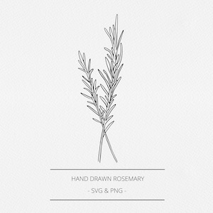 Rozemarijn SVG en PNG, botanische handgetekende apothekerselementen, kruidenillustratie, commerciële gratis afbeelding, lijnclipkunst, logo, branding