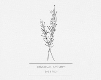 Rozemarijn SVG en PNG, botanische handgetekende apothekerselementen, kruidenillustratie, commerciële gratis afbeelding, lijnclipkunst, logo, branding