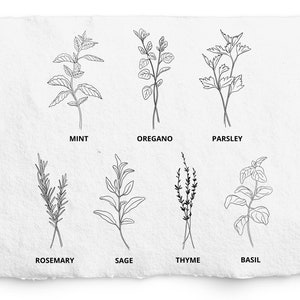 Herb Bundle SVG and PNG, Hand Drawn Mint, Rosemary, Sage, Oregano, Basil, Thyme, Parsley, Digi Stamp, Pen and Ink Line Art, Commercial Free