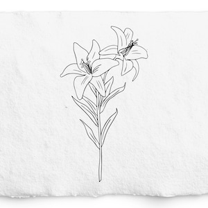 Lily SVG - Flor de cumpleaños PNG, Gráfico de flor de lirio dibujado a mano, Cricut, Botánico dibujado a mano, Sello Digi, Tatuaje