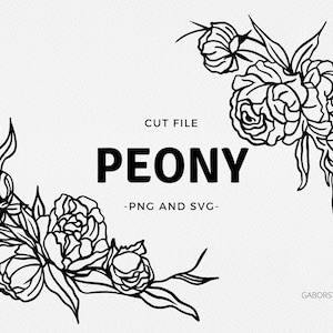 Fichier de coupe de pivoine SVG et PNG, cadre d’angle de pivoine, conception de coupe de vinyle cricut, graphique de pochoir, cadre floral SVG, ligne noire de fleur, dessiné à la main