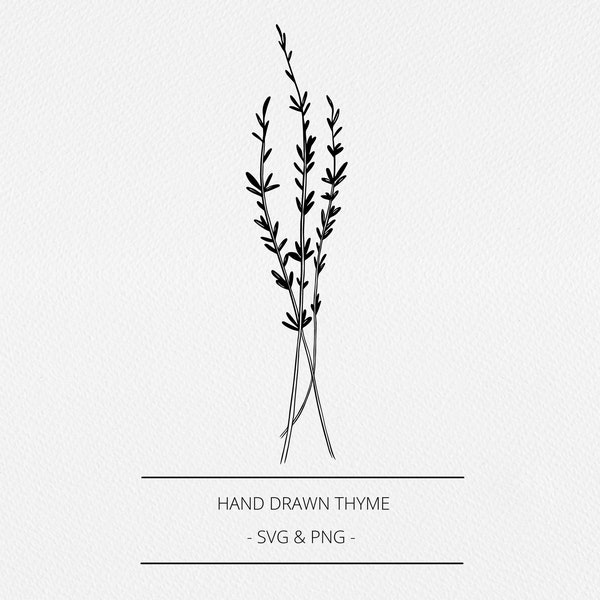 Thyme Line Drawing Etsy