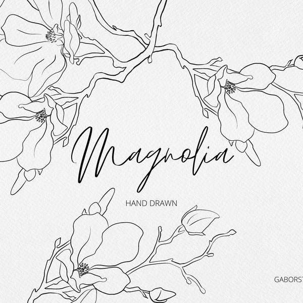 Magnolia Line Art Clipart, PNG, Magnolia Stems, Floral Wedding Invite Elements, Hand Drawn Botanical, Digi Stamp, Organic Line Clipart