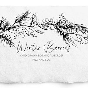 Winter Border for Engraving, Berries and Leaves SVG, PNG, Botanical Hand Drawn Border, Engraving, Commercial Free, Vintage Christmas Clipart