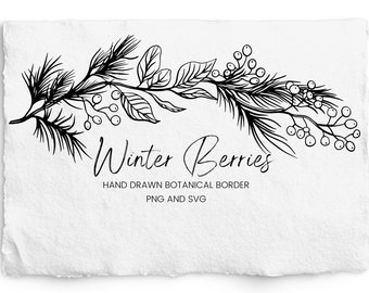 Winter Border for Engraving, Berries and Leaves SVG, PNG, Botanical Hand Drawn Border, Engraving, Commercial Free, Vintage Christmas Clipart