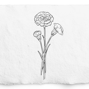 Clavel Enero Mes de Nacimiento Flor SVG - Flor de cumpleaños PNG, Gráfico de flor de clavel dibujado a mano, Botánico dibujado a mano, Sello Digi