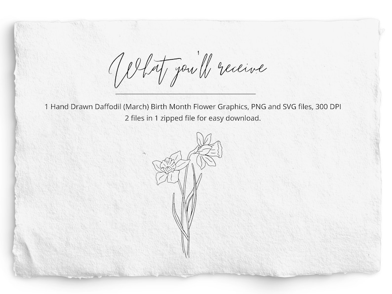 March Birth Month Flower SVG Birthday Flower PNG Hand Drawn Etsy