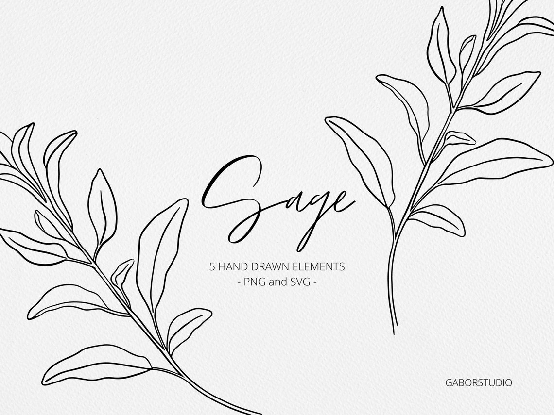 Sage Leaf Elements SVG and PNG Botanical Hand Drawn Etsy