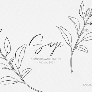 Sage Leaf Elements SVG et PNG, Éléments d’apothicaire botaniques dessinés à la main, Illustration d’herbes, Clip Art graphique gratuit commercial, Logo, Mariage